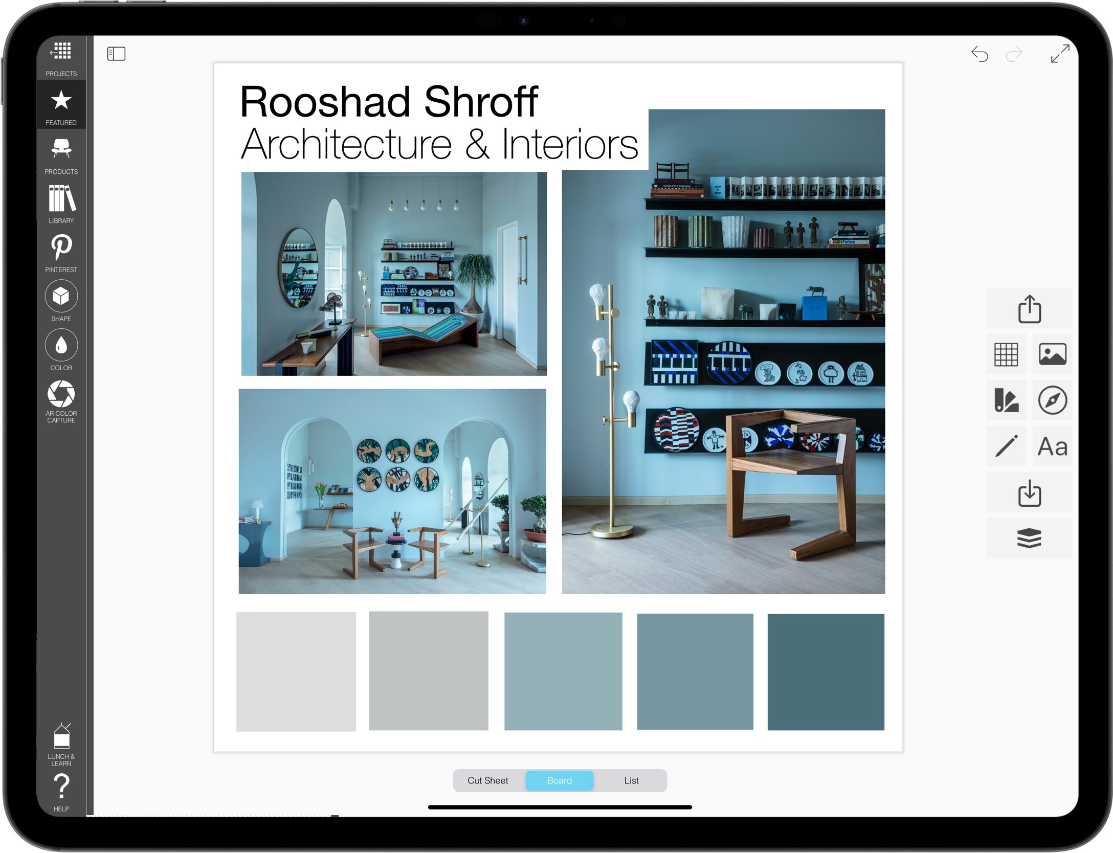 best Pro interior designer app for iPad_E3_best Pro interior designer app for iPad_moodboard maker_moodboards_mood board maker_04_Color Study mood board_Rooshad Shroff